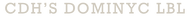 DOMI NYC logo
